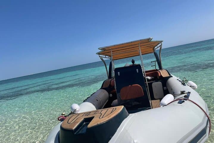Private Hurghada Speedboat: 4-Hour Wild Dolphin Swim & Subwing Game photo 5