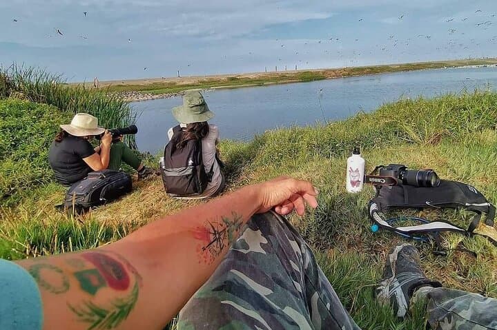 Half-Day Private Birdwatching Tour in Lima — Pantanos de Villa Wetland Guide