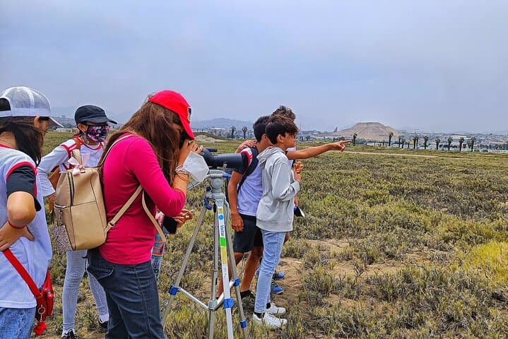 Half-Day Private Birdwatching Tour in Lima — Pantanos de Villa Wetland Guide photo 5