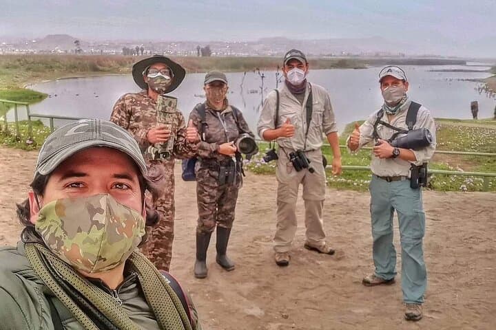 Half-Day Private Birdwatching Tour in Lima — Pantanos de Villa Wetland Guide photo 6