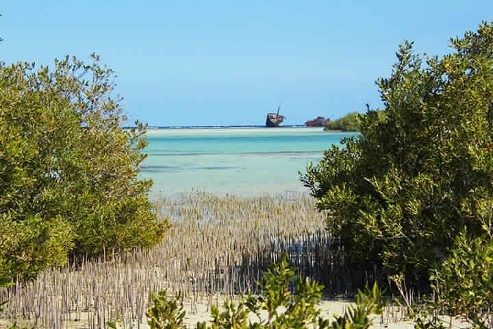 Explore Nabq National Park: Mangroves, Reefs and Desert Walks from Dahab