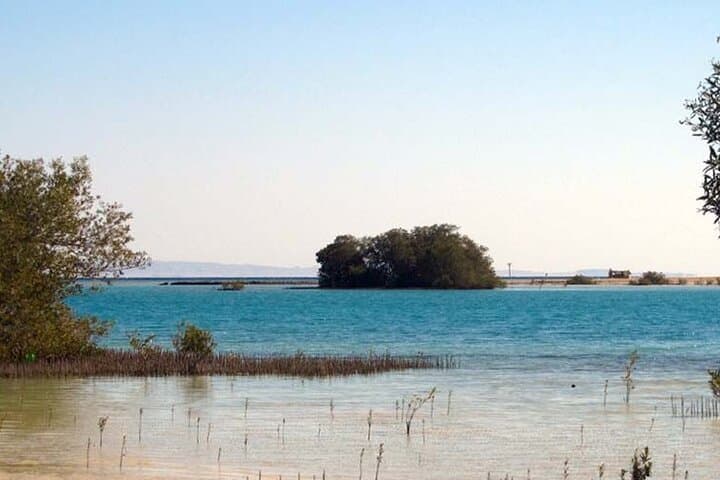 Explore Nabq National Park: Mangroves, Reefs and Desert Walks from Dahab photo 4