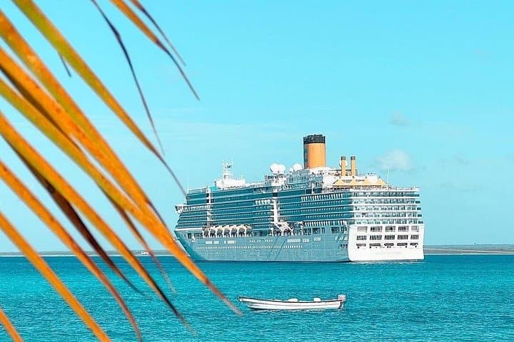 Day Trip to Catalina Island from Punta Cana — Snorkel Reefs, White Sand & Open Bar photo 3
