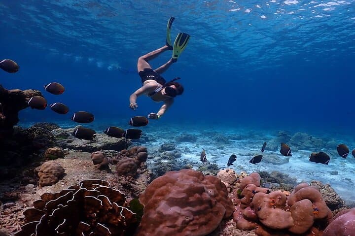 Similan Islands Speedboat Day Trip from Phuket — Snorkel Pristine Reefs