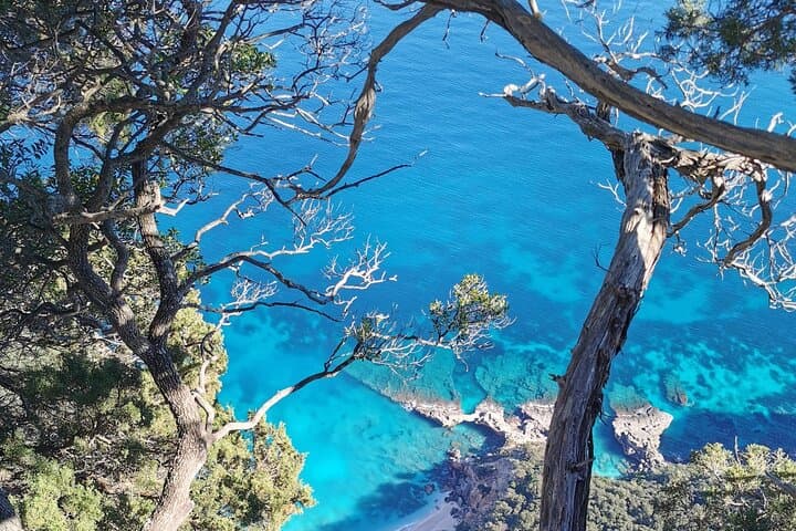 Private Tour to the Terraces of Cala Biriola | Baunei Hiking & Sheepfold Lunch photo 4