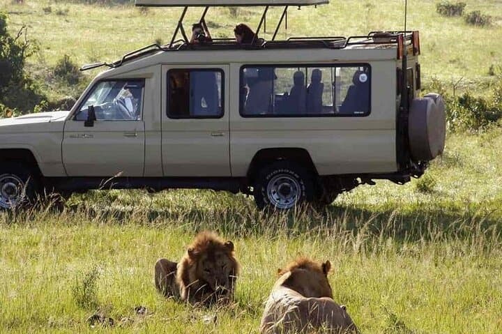 Hwange Park Big 5 Game Drive — Full-Day Safari in Zimbabwe photo 6