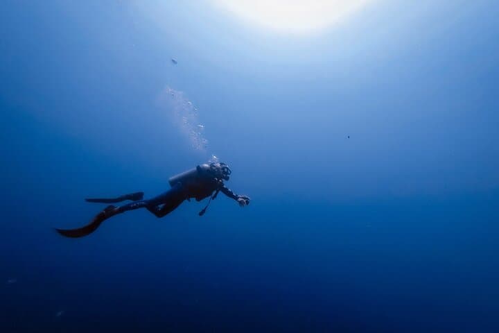 Sharks Bay Diving Trip — Red Sea Coral Dives from Sharm El Sheikh photo 6