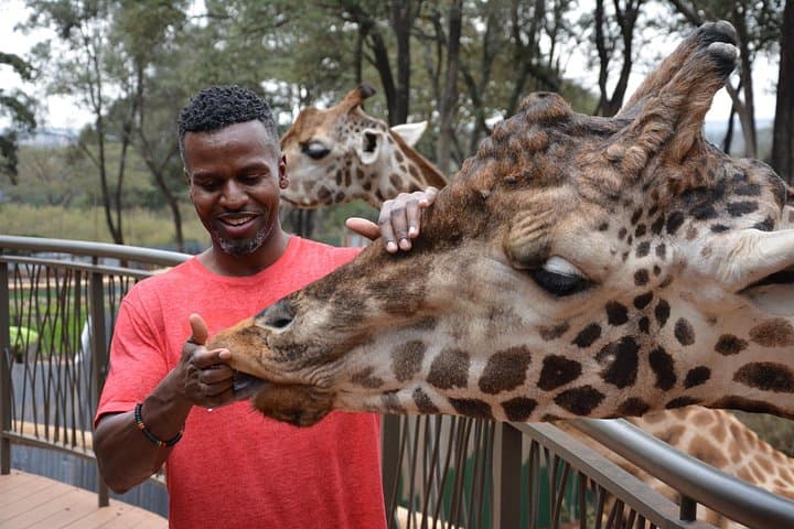 Inside Nairobi National Park Safari and Maasai Market: A Half-Day Adventure at Africa’s Urban Wildlife Frontier photo 5