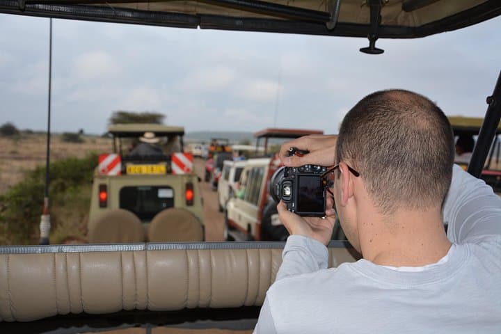 Inside Nairobi National Park Safari and Maasai Market: A Half-Day Adventure at Africa’s Urban Wildlife Frontier photo 4