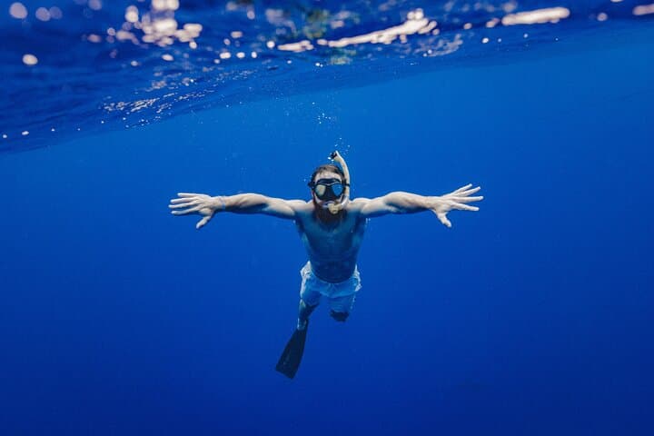 Ras Mohammed National Park Snorkeling Boat Tour from Sharm El Sheikh photo 5