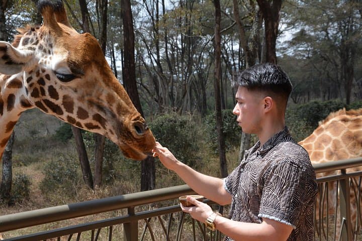 Inside Nairobi National Park Safari and Maasai Market: A Half-Day Adventure at Africa’s Urban Wildlife Frontier photo 6