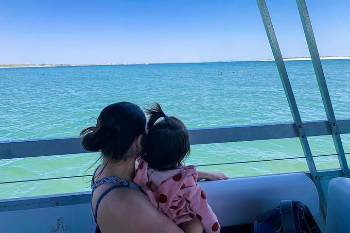 Pensacola Beach Jolly Dolphin Cruise: 2-Hour Scenic Bay & Dolphin Tour photo 3