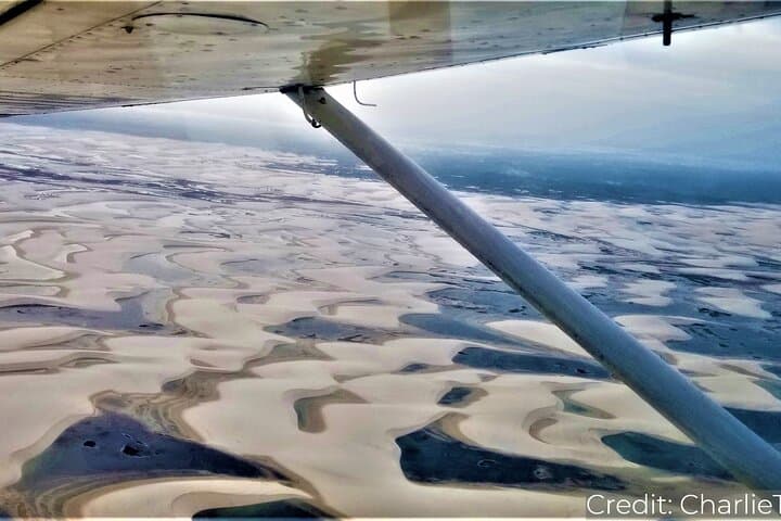 Ultimate North Brazil Adventure: 13 Days of Amazon Jungles, Sand Dunes & Coastal Wonders photo 4