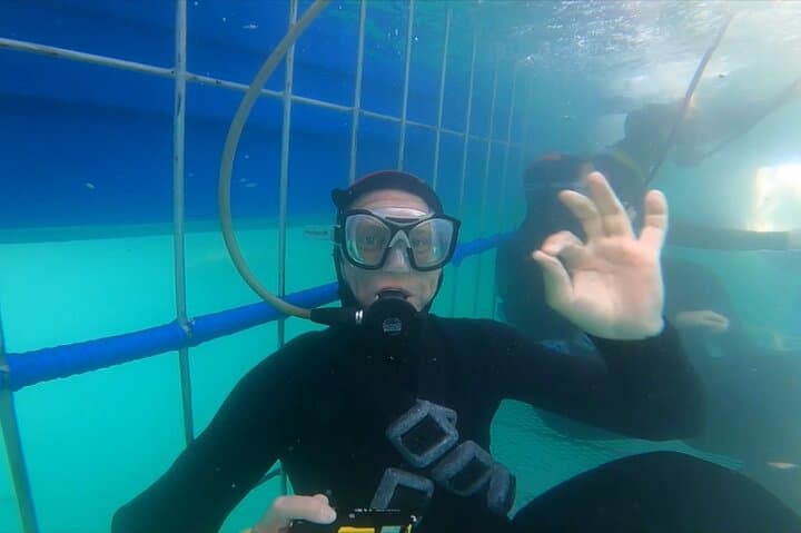 Hookah Shark Cage Diving in Gansbaai: Uninterrupted Close Encounters with Great Whites