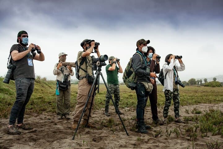 Half-Day Private Birdwatching Tour in Lima — Pantanos de Villa Wetland Guide photo 2