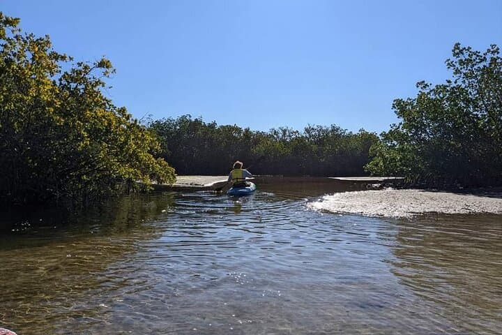 Kayak Eco Tour on Anclote River: Mangroves & Tarpon Springs Sponge Docks photo 2