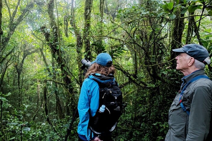 Walk in the Clouds: Private Guided Hike at Santa Elena Cloud Forest Reserve photo 3