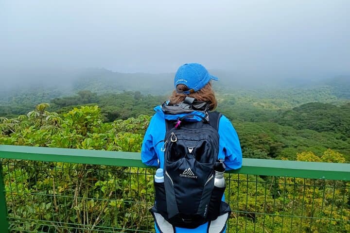 Walk in the Clouds: Private Guided Hike at Santa Elena Cloud Forest Reserve