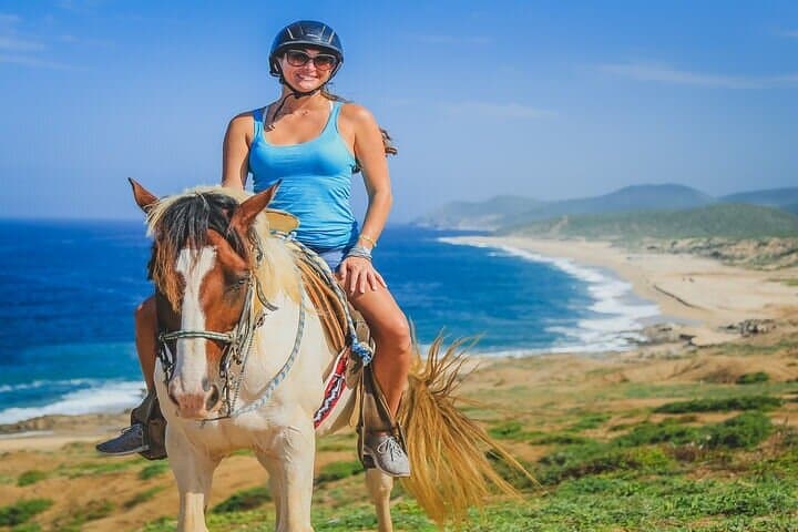 Private Horseback Riding on Migriño Beach — 2-Hour Private Cabo Tour