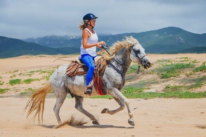 Private Horseback Riding on Migriño Beach — 2-Hour Private Cabo Tour photo 2