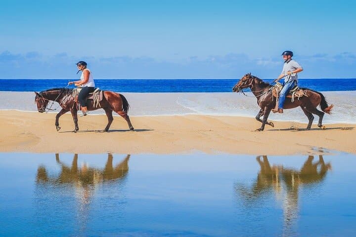 Private Horseback Riding on Migriño Beach — 2-Hour Private Cabo Tour photo 3