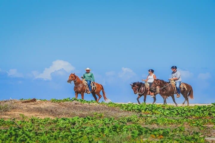 Private Horseback Riding on Migriño Beach — 2-Hour Private Cabo Tour photo 4