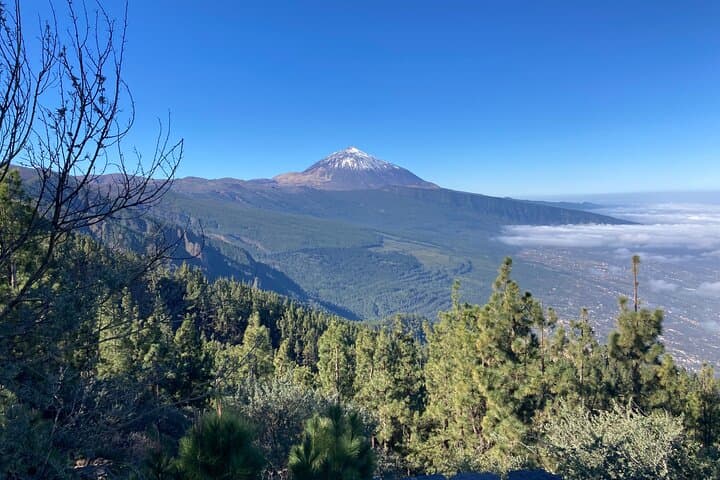 Private Teide National Park Tour from South Tenerife — Mirador Los Poleos to Roque García photo 6
