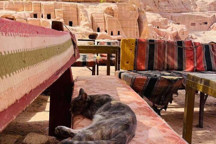Sleep Inside Petra: 3-Night South Jordan Bedouin Adventure photo 6