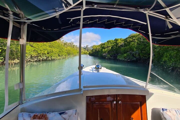 Electric Turtle-Spotting Bay Cruise — Airlie Beach Whisper-Quiet Eco Tour