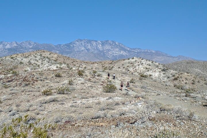 Palm Springs Secret Oasis Hike: Coachella Valley Views & Cahuilla Trails photo 3