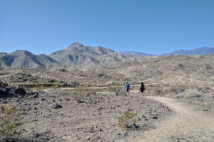 Palm Springs Secret Oasis Hike: Coachella Valley Views & Cahuilla Trails photo 4