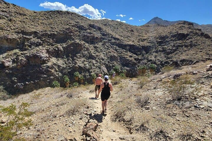 Palm Springs Secret Oasis Hike: Coachella Valley Views & Cahuilla Trails photo 6