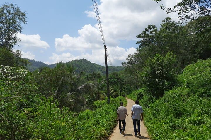 Village Food Trail in Ingiriya: Foraging, Cooking & Stream Baths photo 4