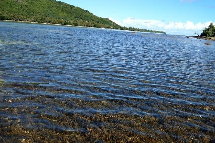 Southwest Mauritius full-day tour and barbecue lunch at Îlot Fourneau photo 2