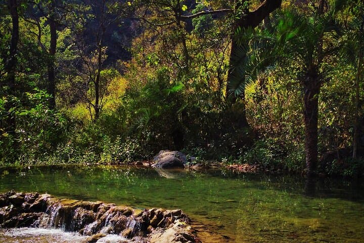 4-Day Moderate Himalayan Treks From Delhi to Rishikesh: Kunjapuri & Patho Village