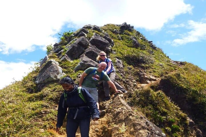 Le Pouce Mountain Full-Day Hike: Summit Trek with Lunch & Transfer photo 3