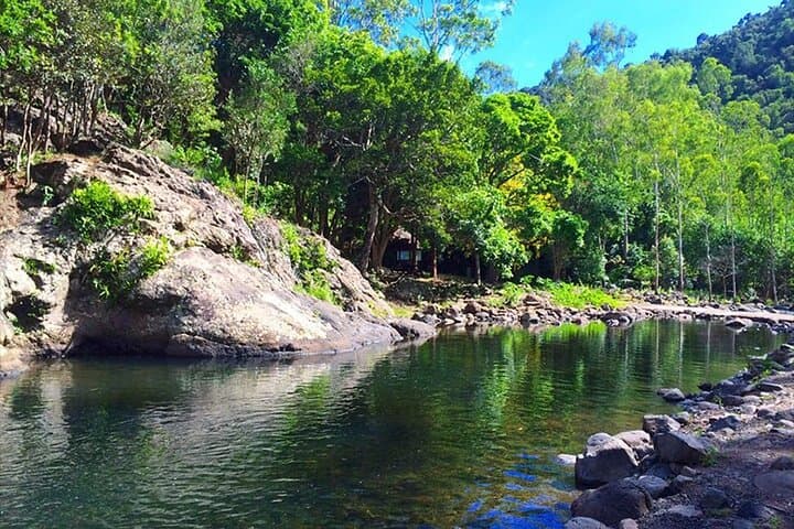 Full-Day Hike in Black River Gorges National Park, Mauritius — Waterfalls, Endemic Birds & Picnic Lunch