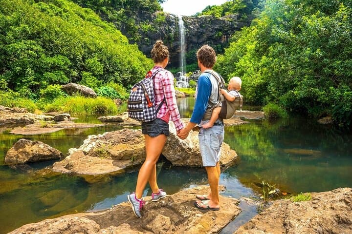 Full-Day Hike in Black River Gorges National Park, Mauritius — Waterfalls, Endemic Birds & Picnic Lunch photo 2