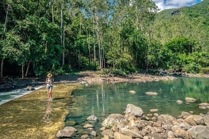 Full-Day Hike in Black River Gorges National Park, Mauritius — Waterfalls, Endemic Birds & Picnic Lunch photo 4