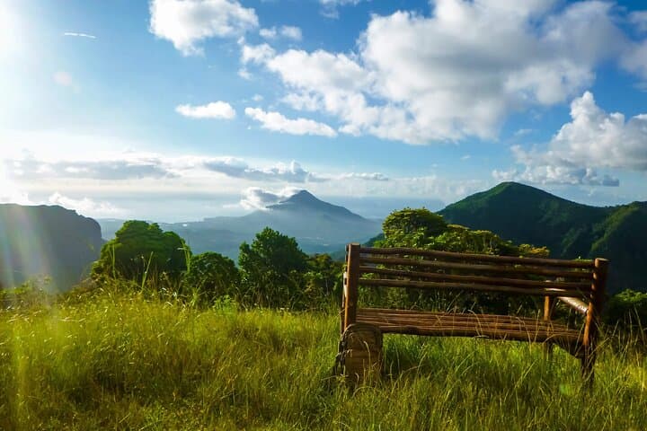 Full-Day Hike in Black River Gorges National Park, Mauritius — Waterfalls, Endemic Birds & Picnic Lunch photo 6