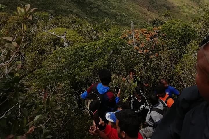 Hike Piton de la Petite Rivière Noire: Mauritius' Highest Peak Half-Day Trek photo 2