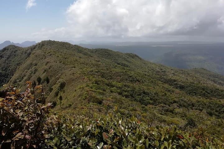 Hike Piton de la Petite Rivière Noire: Mauritius' Highest Peak Half-Day Trek photo 4