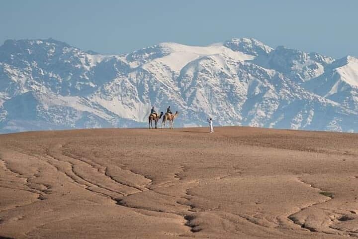 High Atlas Day Trip from Marrakech: Imlil Villages, Agafay Plateau & Waterfalls