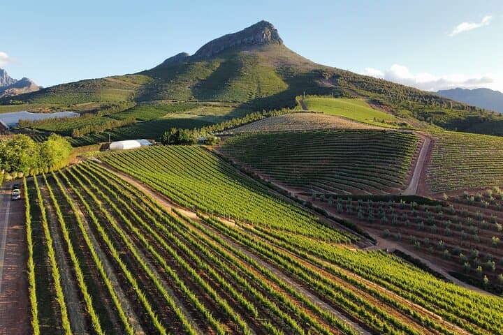 Cape Winelands Tour: Stellenbosch, Franschhoek & Paarl Day Trip from Cape Town