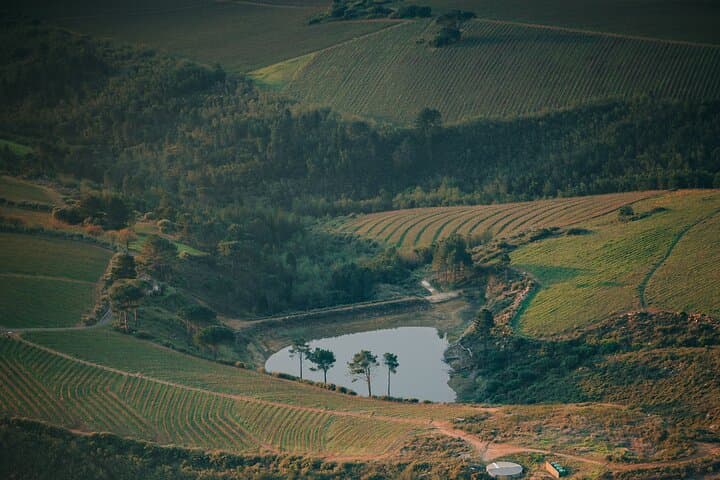 Cape Winelands Tour: Stellenbosch, Franschhoek & Paarl Day Trip from Cape Town photo 6
