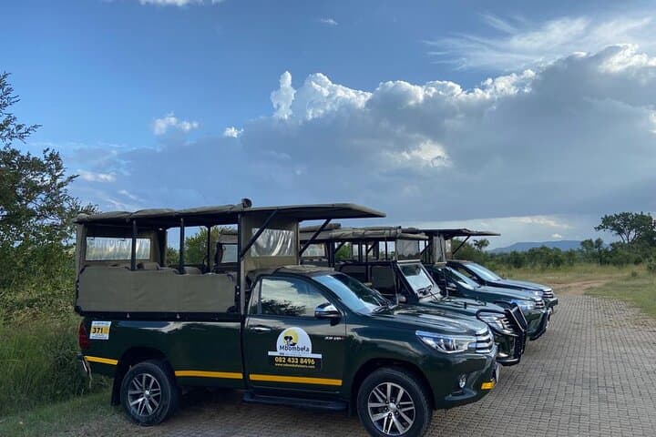 Kruger Full-Day Safari from Nelspruit: Big Five Game Drive photo 6