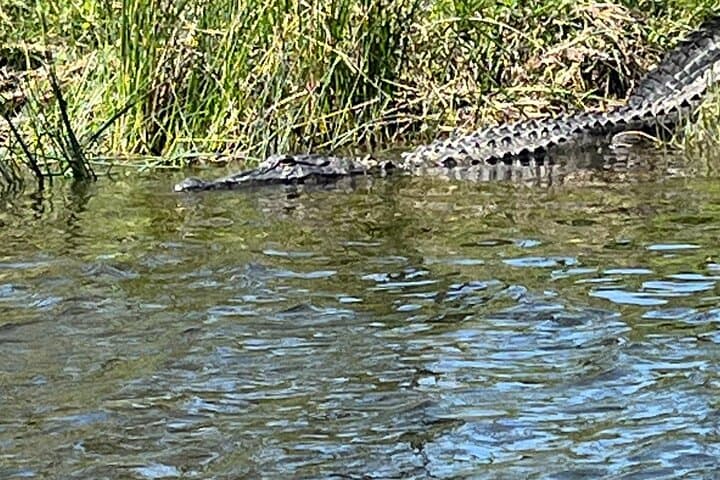 Cane Bayou Historic Water Trail Kayak Tour — Swamps to Lake Pontchartrain