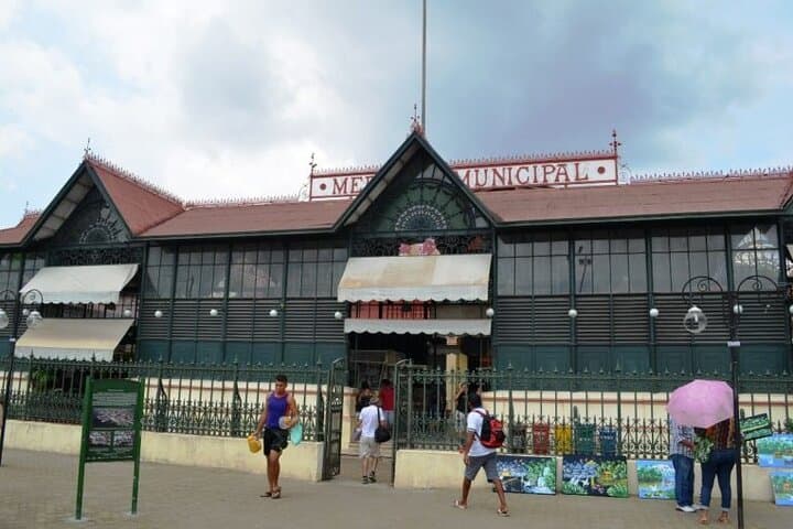 Manaus City Tour & MUSA: Teatro Amazonas, Adolpho Lisboa Market and Amazon Forest Trails photo 2