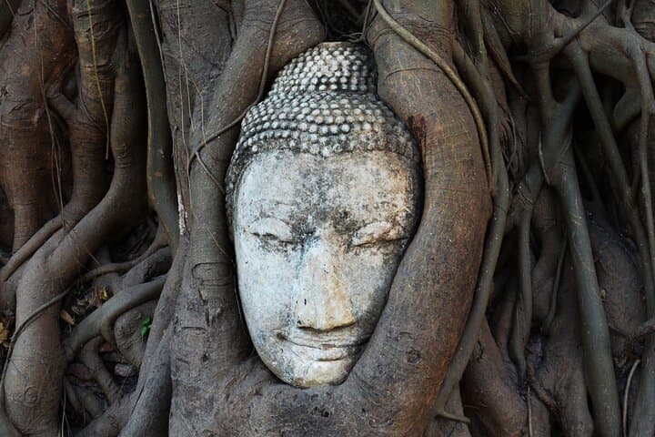 Bangkok to Chiang Mai: 6-Day Cultural & Nature Journey photo 2