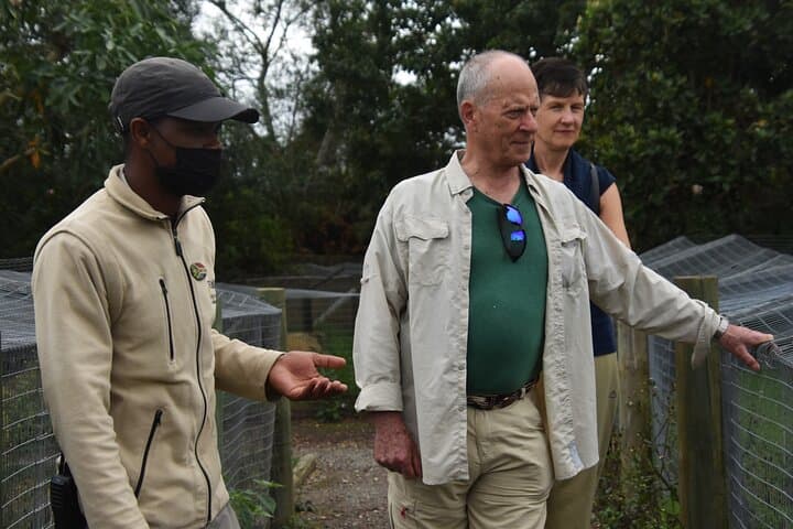 Cats in Conservation at Tenikwa: Full-Day Wildlife Rehabilitation Experience in Plettenberg Bay photo 2